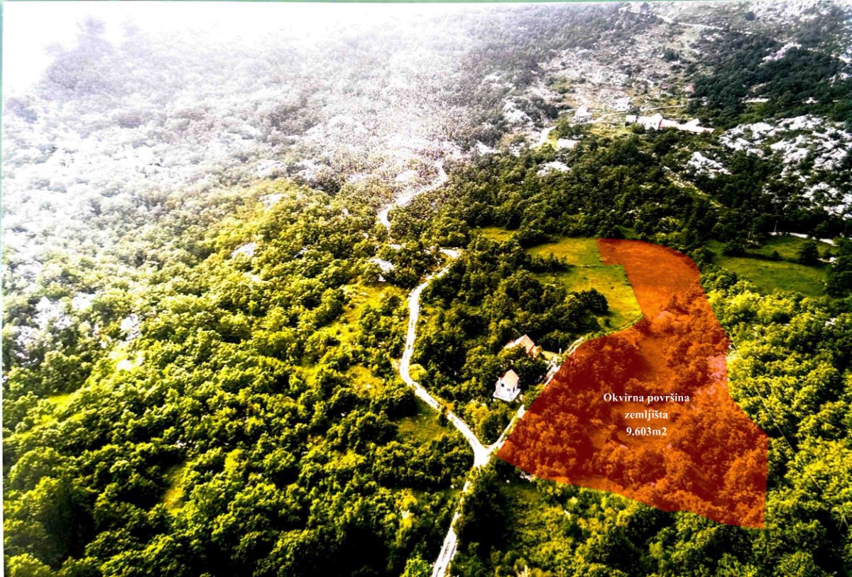 Građevinske parcele ukupne površine 11.502 m² na Njegušima, moguća parcelacija